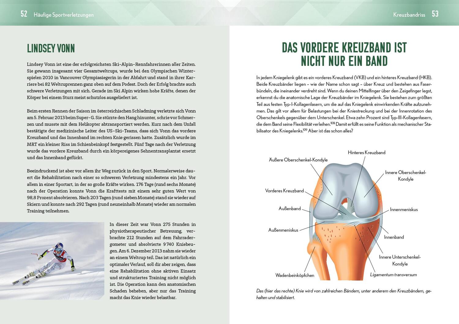 Bild: 9783742326232 | Back in the game - dein Programm für den optimalen Wiedereinstieg