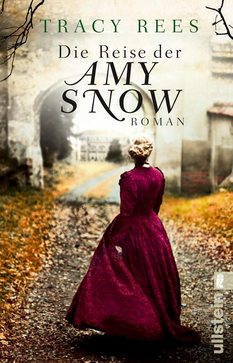 Cover: 9783548289809 | Die Reise der Amy Snow | Tracy Rees | Taschenbuch | 496 S. | Deutsch