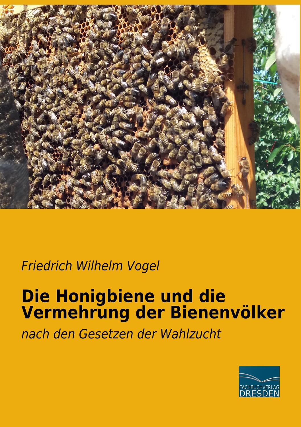 Cover: 9783961690992 | Die Honigbiene und die Vermehrung der Bienenvölker | Vogel | Buch