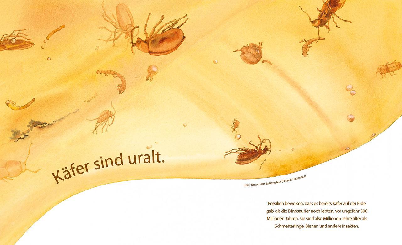 Bild: 9783785589199 | Die fabelhafte Welt der Käfer | Dianna Hutts Aston | Buch | Naturkind