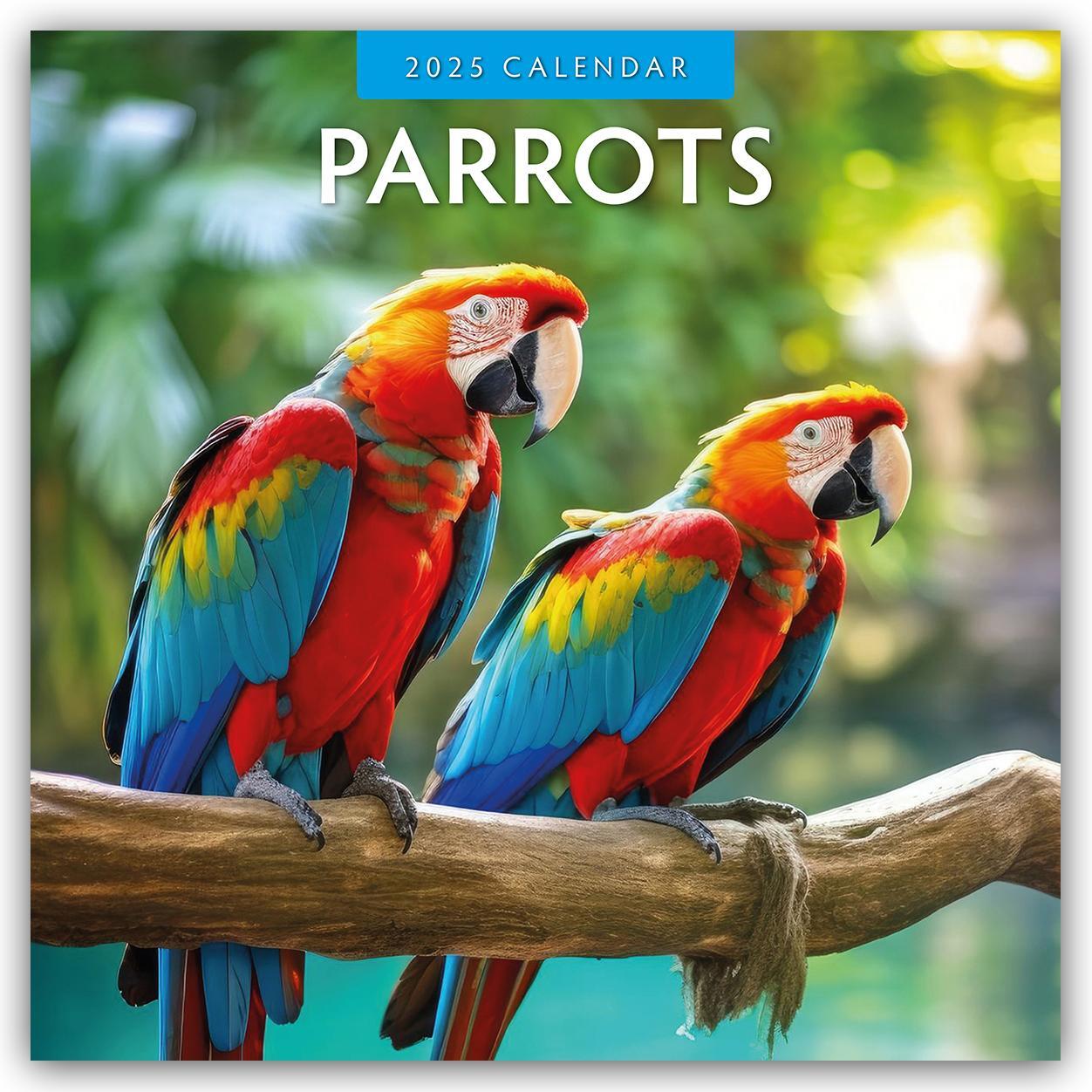 Cover: 9781804424025 | Parrots - Papageien 2025 - 16-Monatskalender | Robin Red | Kalender