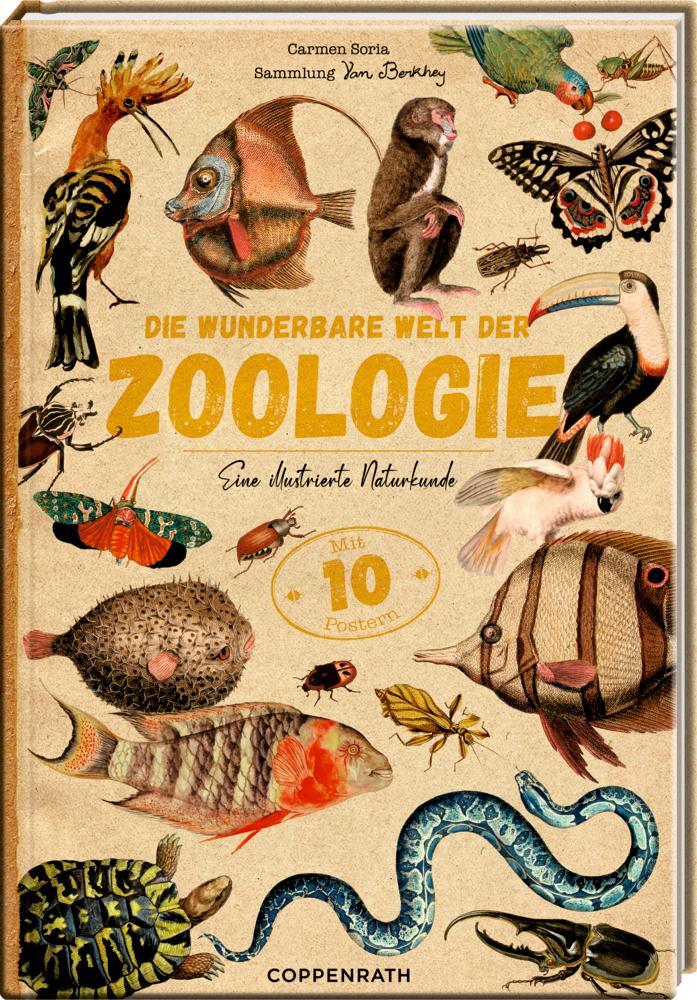 Cover: 9783649643777 | Die wunderbare Welt der Zoologie | Eine illustrierte Naturkunde | Buch
