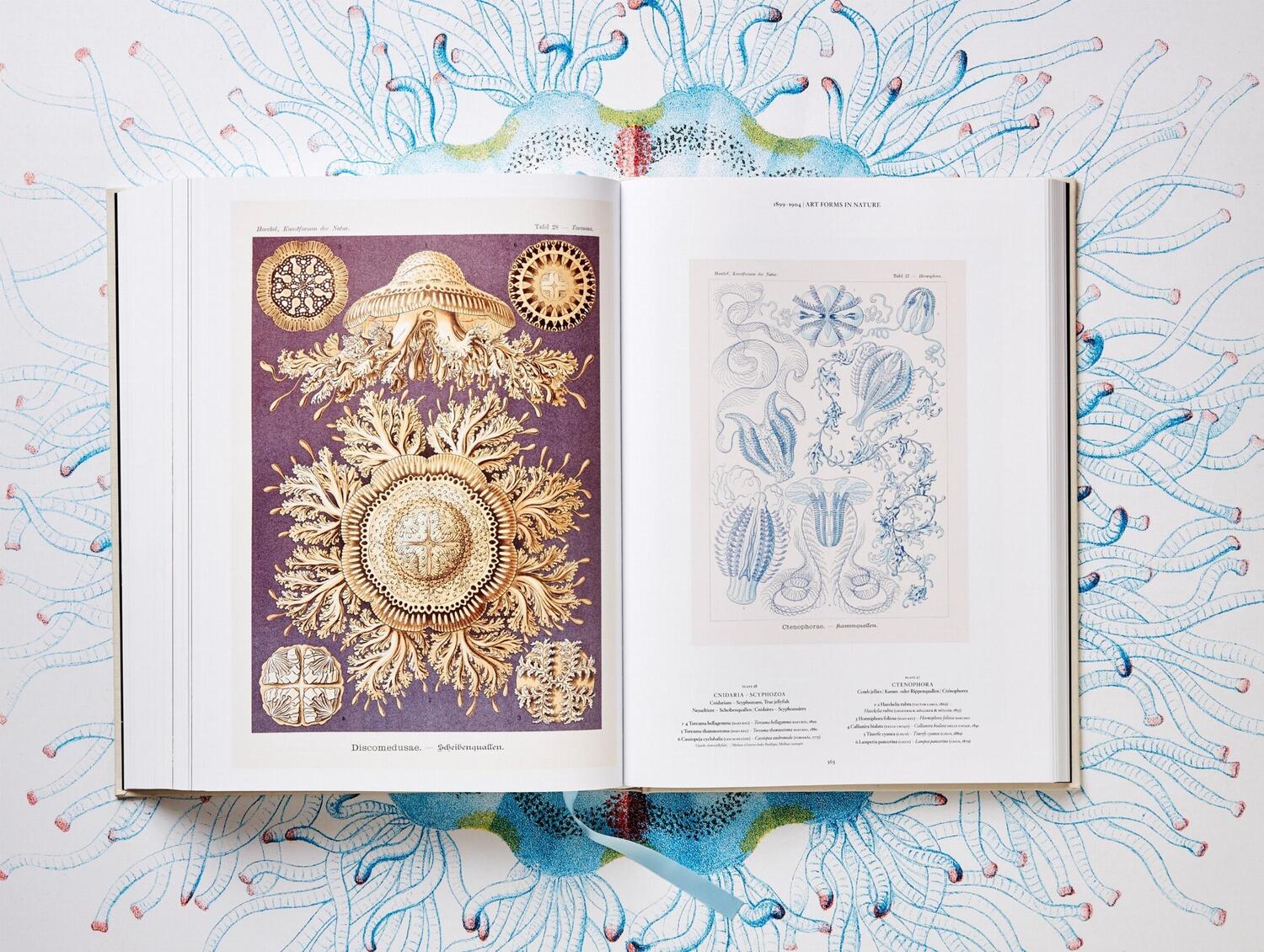 Bild: 9783836526463 | The Art and Science of Ernst Haeckel | Julia Voss (u. a.) | Buch