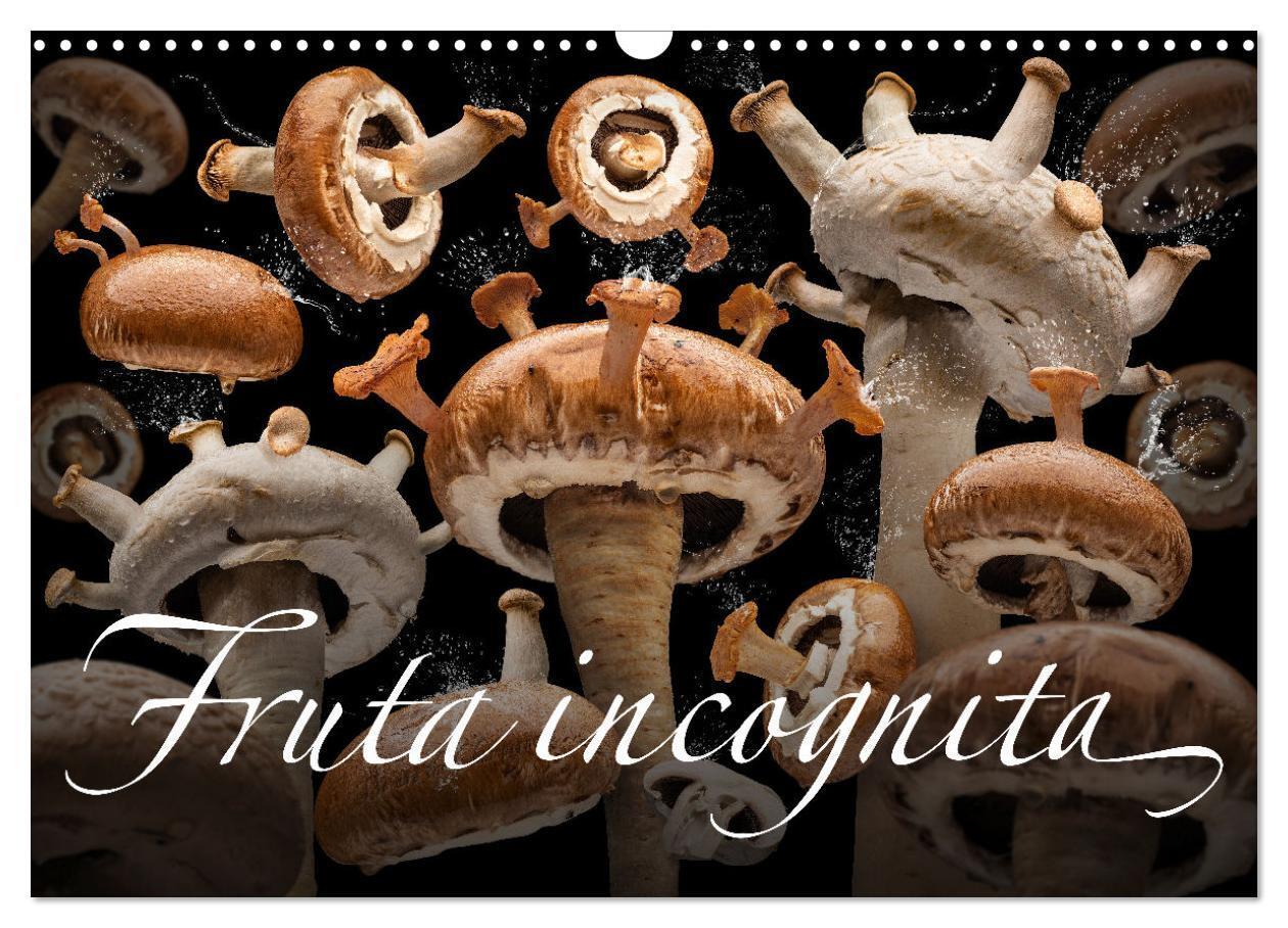 Cover: 9783675643673 | Fruta incognita - Die wundersame Welt des Fotografen Olaf Bruhn...