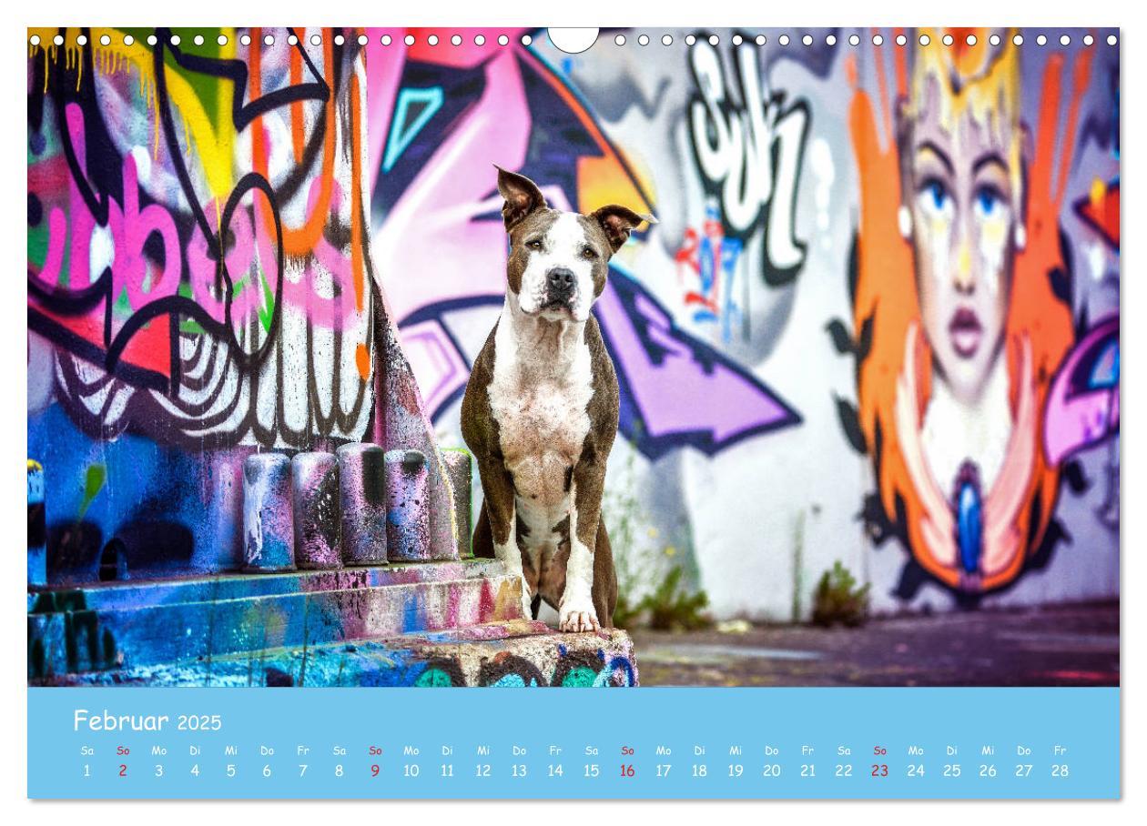 Bild: 9783435314157 | Hunde und Graffiti (Wandkalender 2025 DIN A3 quer), CALVENDO...