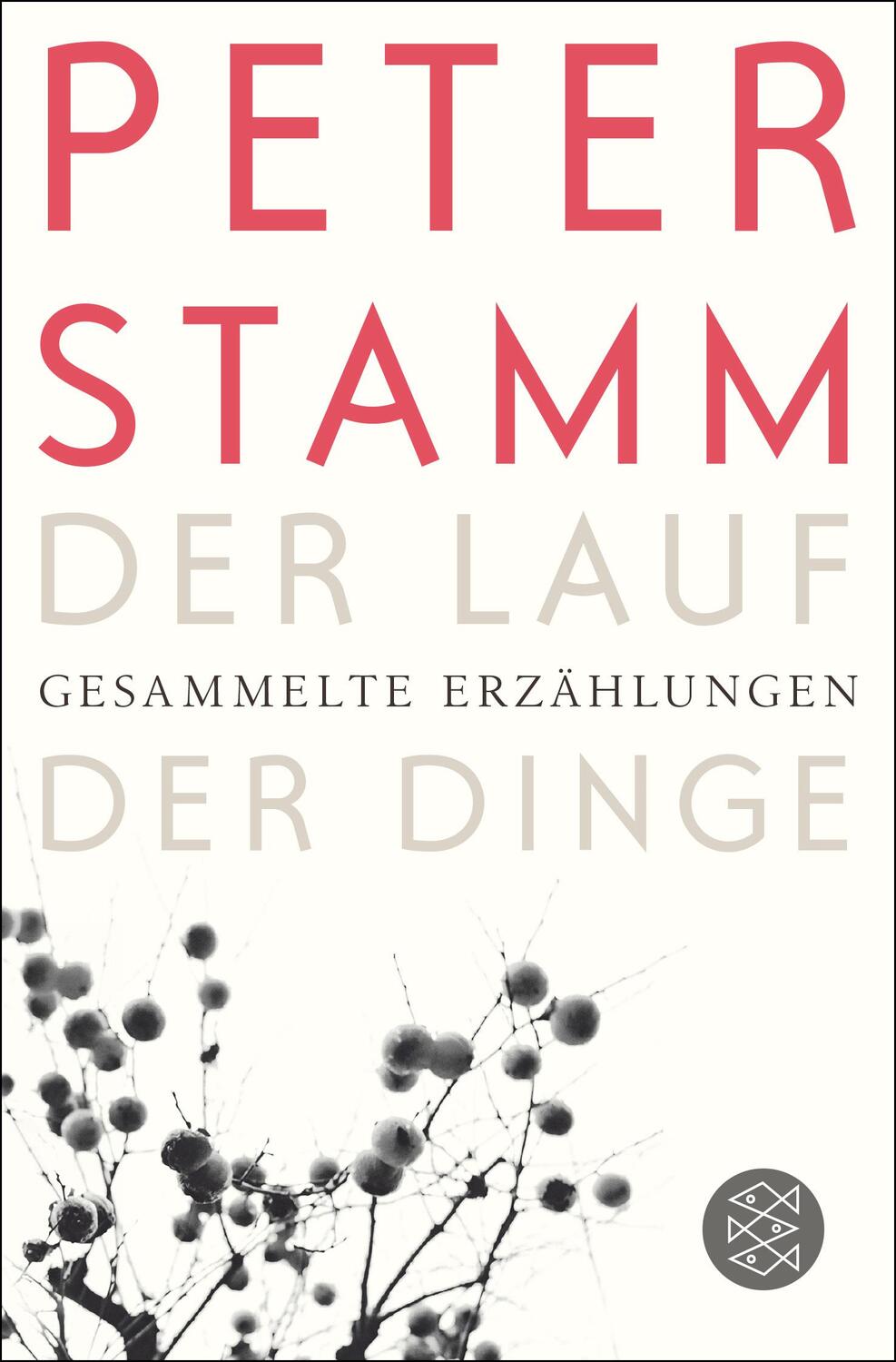 Cover: 9783596031177 | Der Lauf der Dinge | Gesammelte Erzählungen | Peter Stamm | Buch