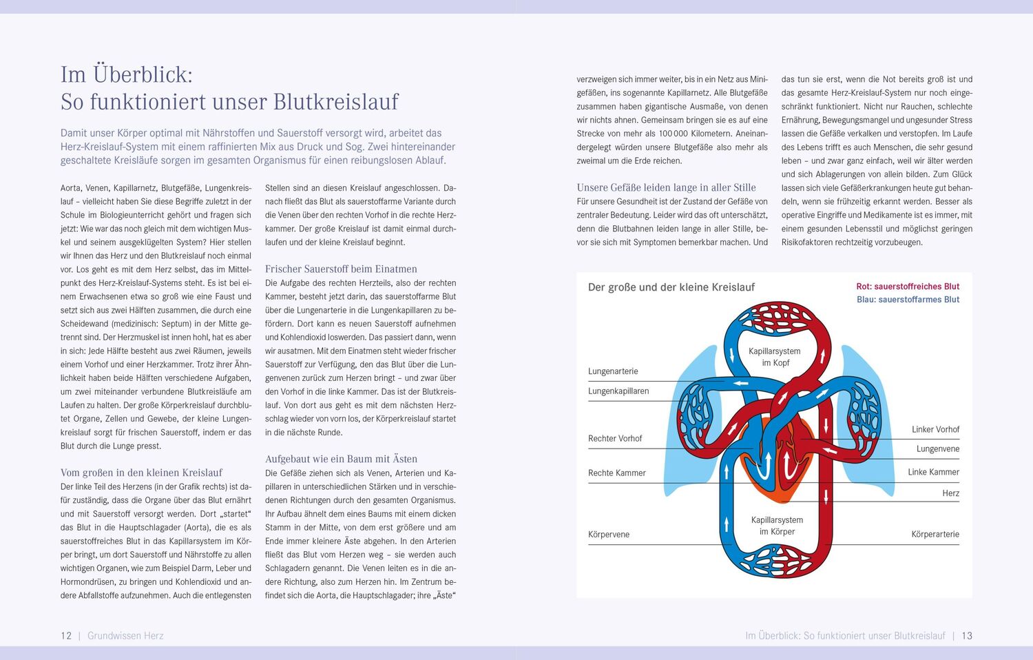 Bild: 9783965840690 | Die Ernährungs-Docs - Starkes Herz | Anne Fleck (u. a.) | Buch | 2021