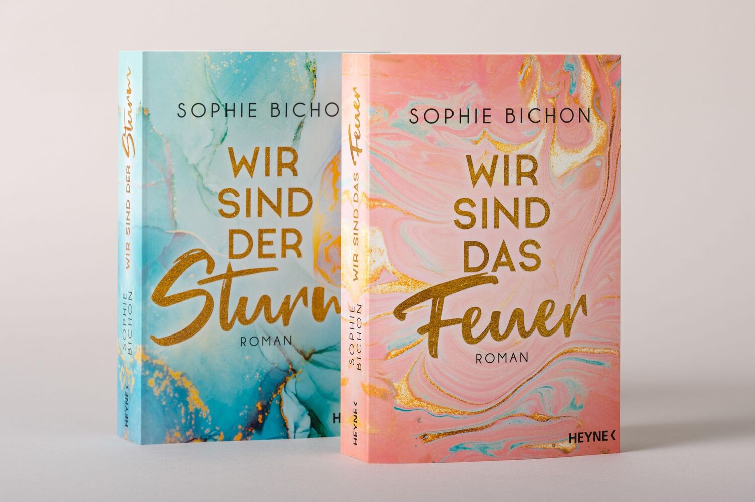 Bild: 9783453423879 | Wir sind der Sturm | Roman | Sophie Bichon | Taschenbuch | 432 S.