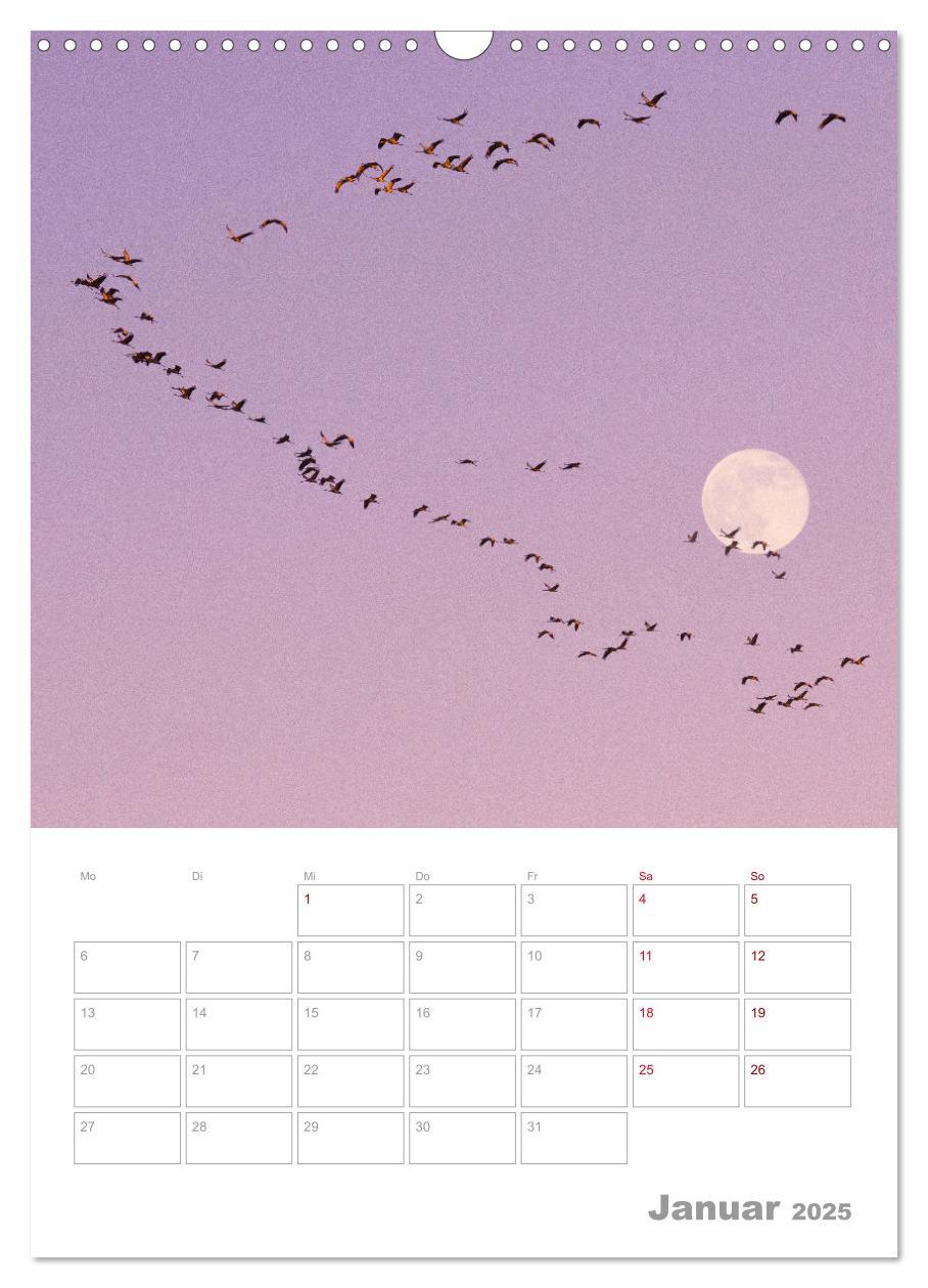 Bild: 9783435924219 | VOLLMOND-Planer - Im Licht der Nacht (Wandkalender 2025 DIN A3...