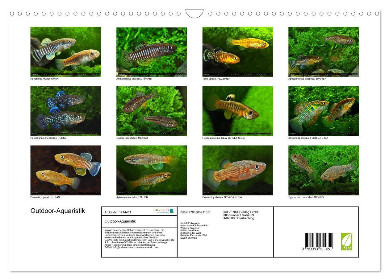 Bild: 9783383911651 | Outdoor-Aquaristik (Wandkalender 2025 DIN A3 quer), CALVENDO...