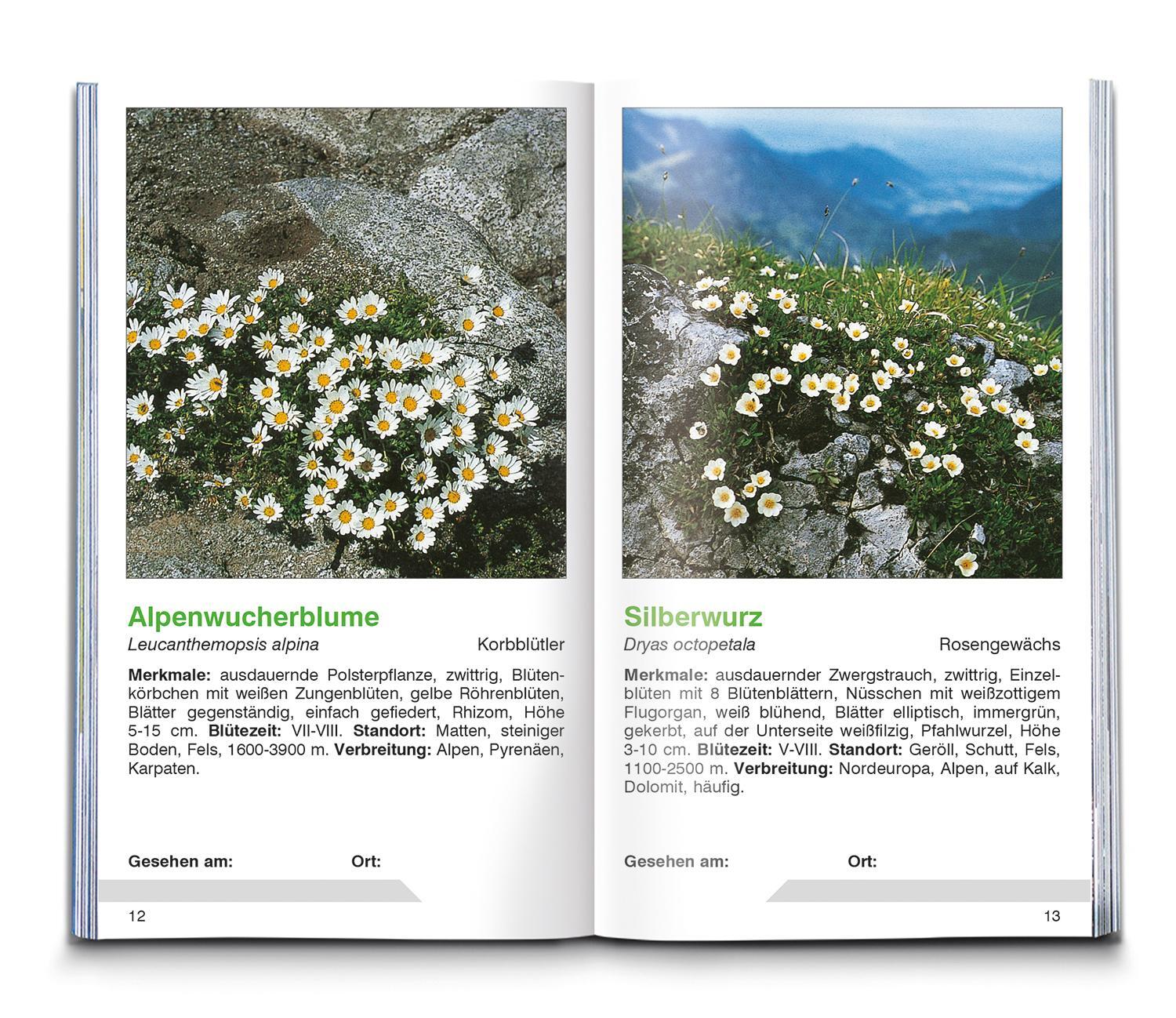 Bild: 9783991218319 | Alpenblumen | Der handliche Begleiter in die Natur | Buch | 80 S.