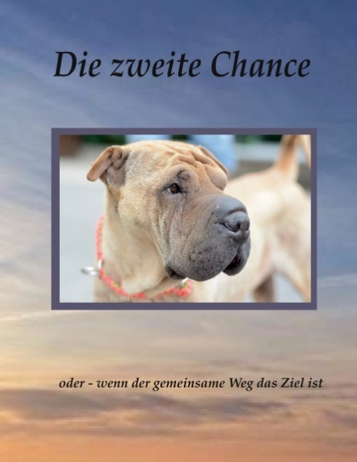 Cover: 9783734799266 | Die zweite Chance | oder wenn der gemeinsame Weg das Ziel ist | Buch