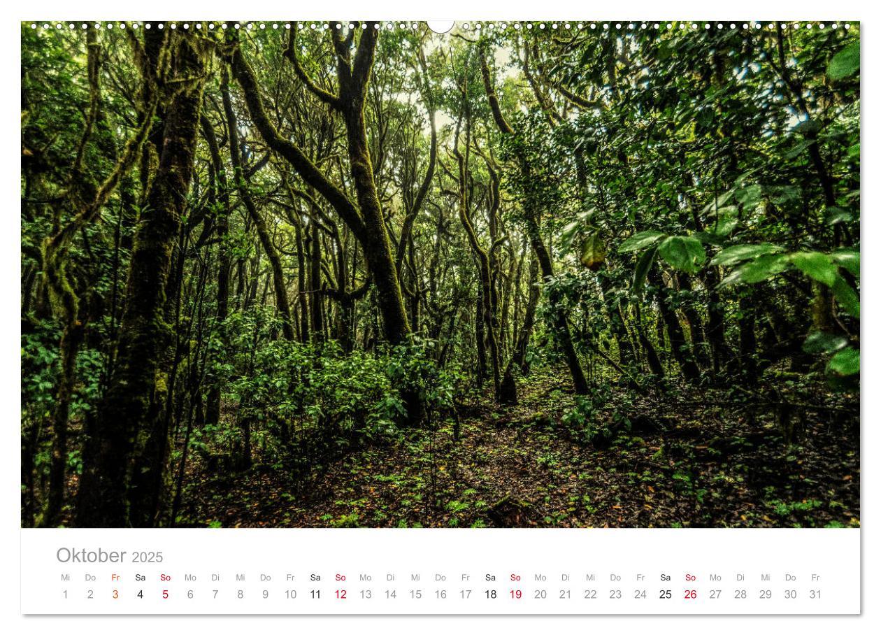 Bild: 9783435255689 | La Gomera ¿ Die grüne Perle der Kanaren. (Wandkalender 2025 DIN A2...