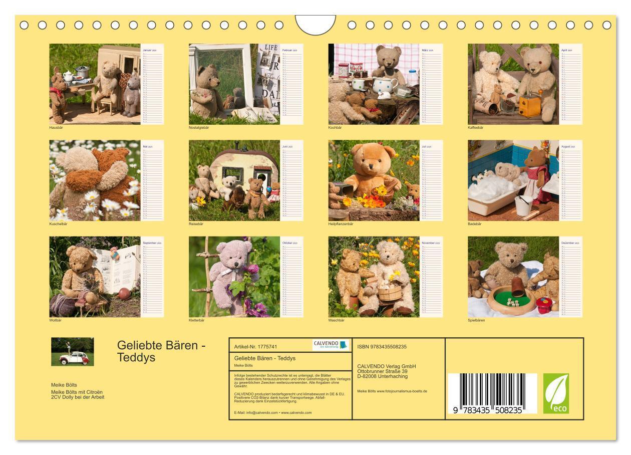 Bild: 9783435508235 | Geliebte Bären - Teddys (Wandkalender 2025 DIN A4 quer), CALVENDO...