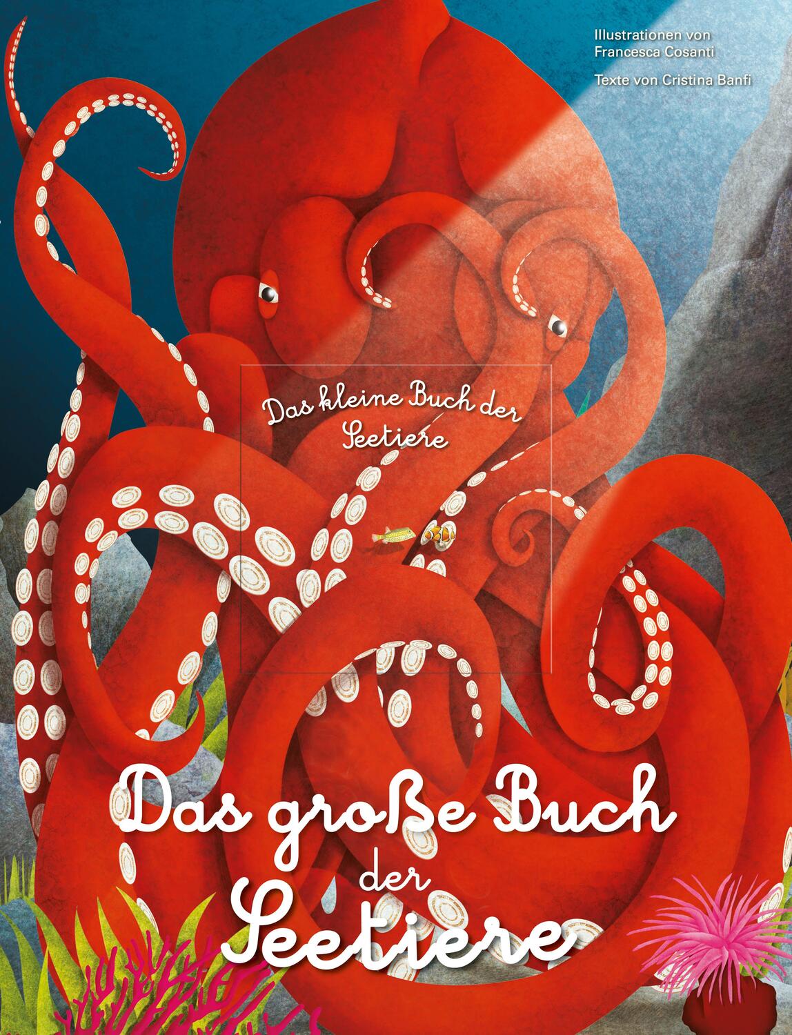 Cover: 9788863125818 | Das gro¿e Buch der Seetiere. Das kleine Buch der Seetiere | Banfi