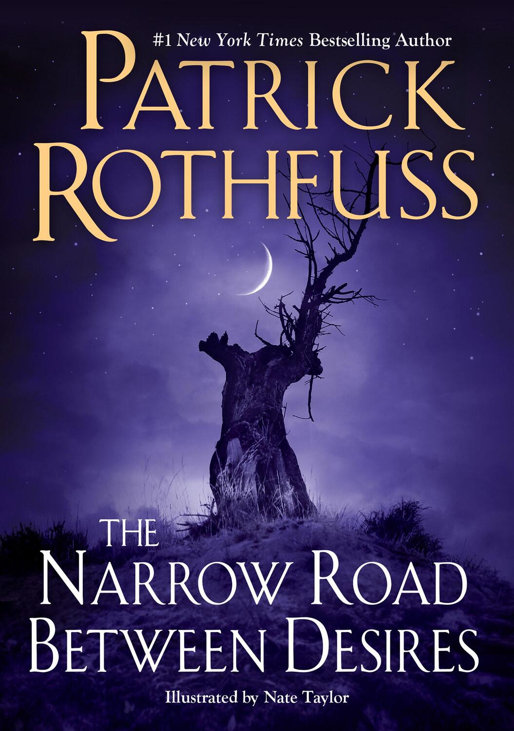 Cover: 9780756419172 | The Narrow Road Between Desires | Patrick Rothfuss | Buch | 240 S.