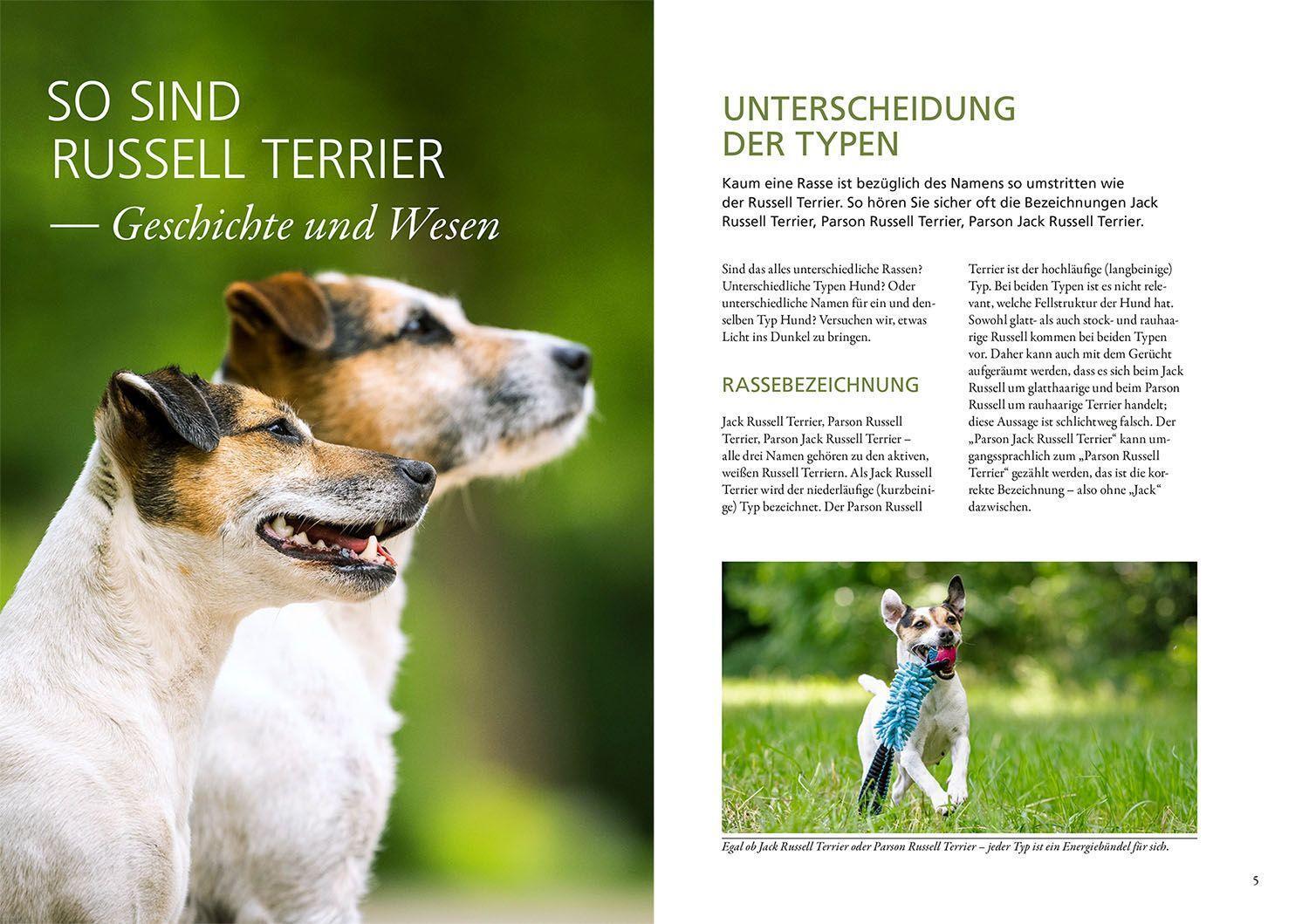Bild: 9783440149744 | Parson und Jack Russell Terrier | Petra Hagemeier | Taschenbuch | 2022