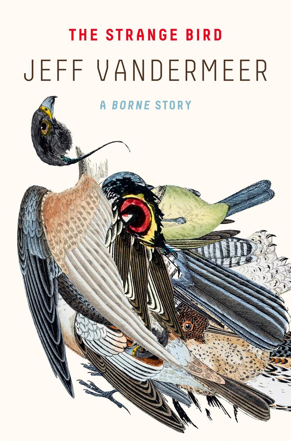 Cover: 9780374537920 | Strange Bird | Jeff VanderMeer | Taschenbuch | Englisch | 2018