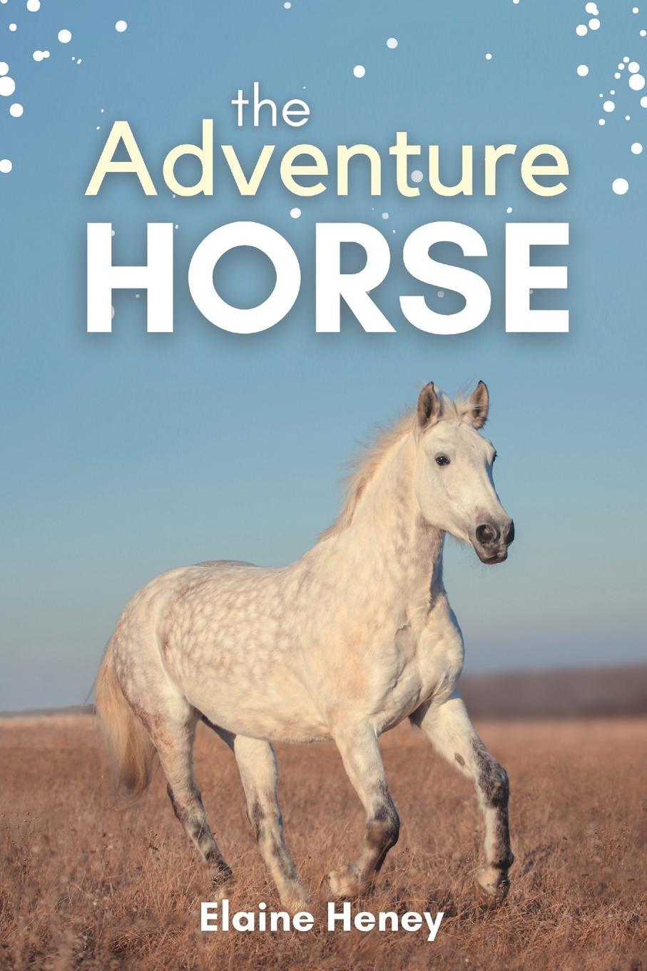 Cover: 9781915542076 | The Adventure Horse - Book 5 in the Connemara Horse Adventure...