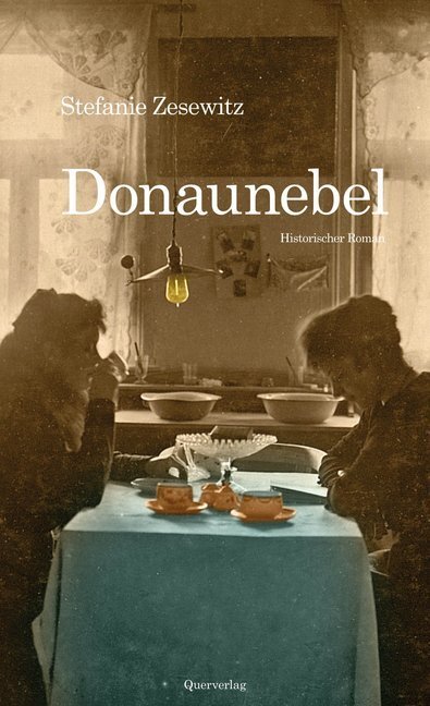 Cover: 9783896562302 | Donaunebel | Historischer Roman | Stefanie Zesewitz | Taschenbuch