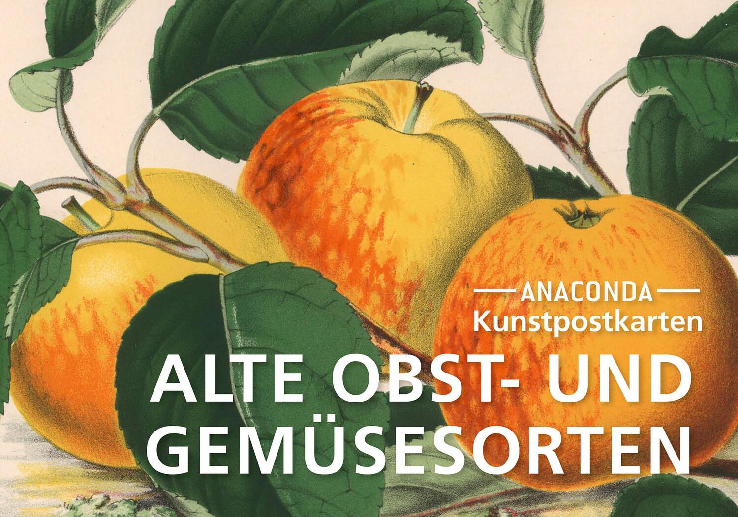 Cover: 9783730613900 | Postkarten-Set Alte Obst- und Gemüsesorten | Anaconda Verlag | Buch