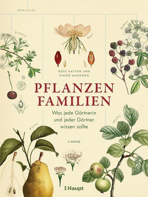Cover: 9783258083551 | Pflanzenfamilien | Was jede Gärtnerin und jeder Gärtner wissen sollte