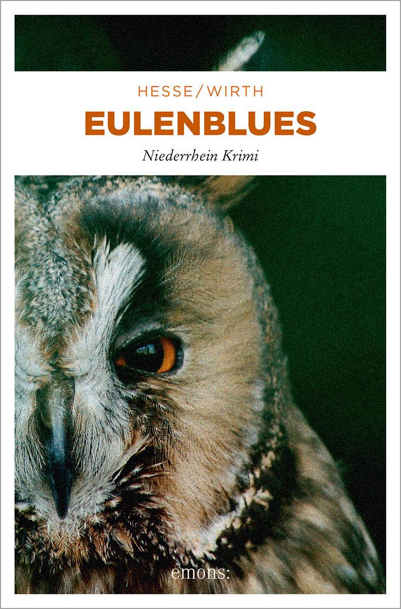 Cover: 9783897059306 | Eulenblues | Thomas Hesse (u. a.) | Taschenbuch | Karin Krafft | 2012