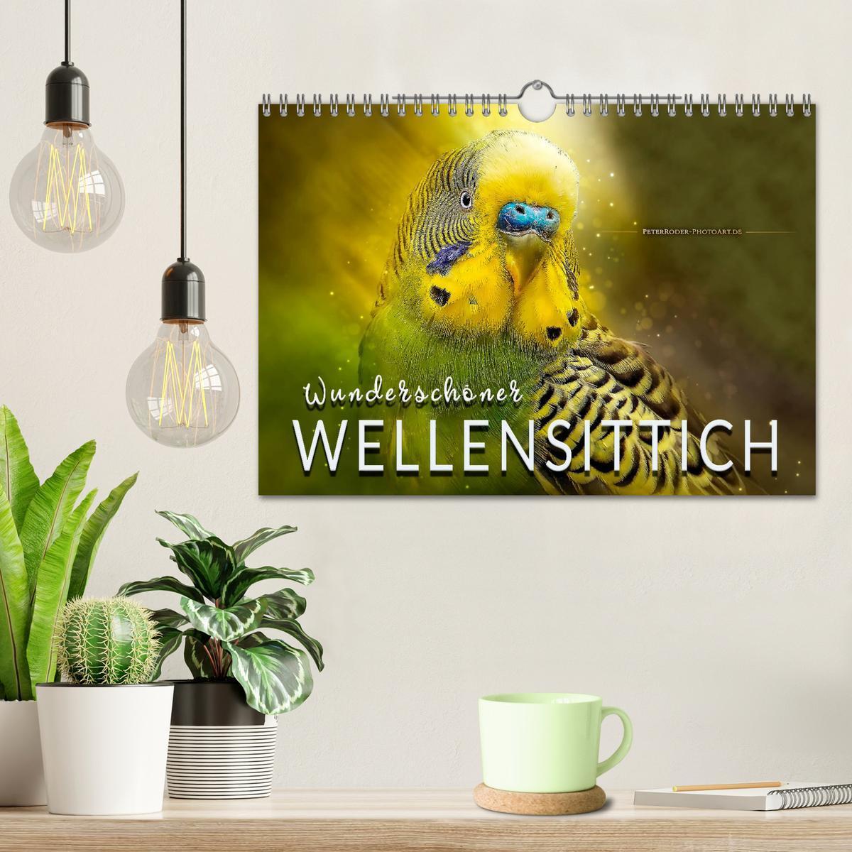 Bild: 9783435348893 | Wunderschöner Wellensittich (Wandkalender 2025 DIN A4 quer),...