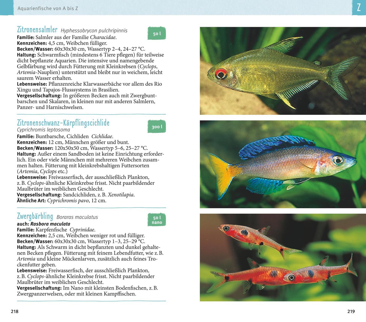 Bild: 9783833855788 | Aquarienfische von A bis Z | Ulrich Schliewen | Taschenbuch | 256 S.