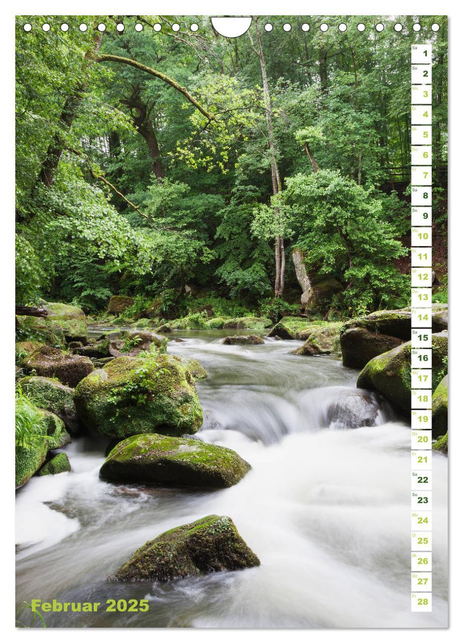 Bild: 9783435945481 | EIFEL - Kraftorte Wald und Wasser (Wandkalender 2025 DIN A4 hoch),...