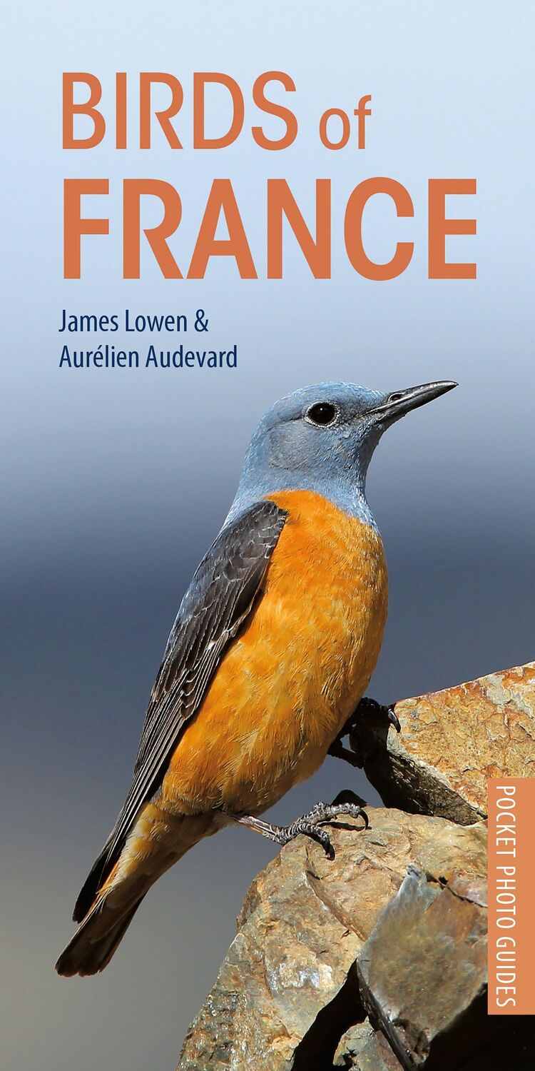 Cover: 9781472949011 | Birds of France | Aurelien Audevard (u. a.) | Taschenbuch | Englisch