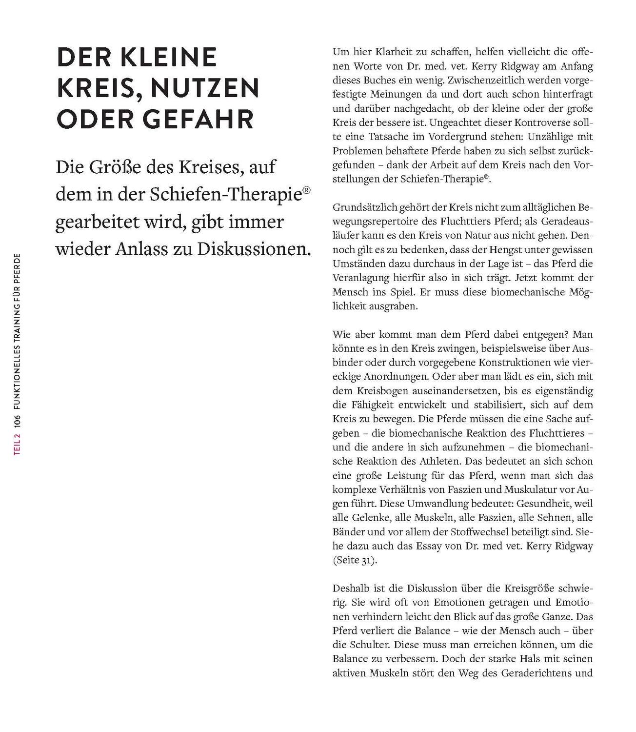 Bild: 9783275023066 | Die Kraft der Diagonalen | Gabriele Rachen-Schöneich (u. a.) | Buch