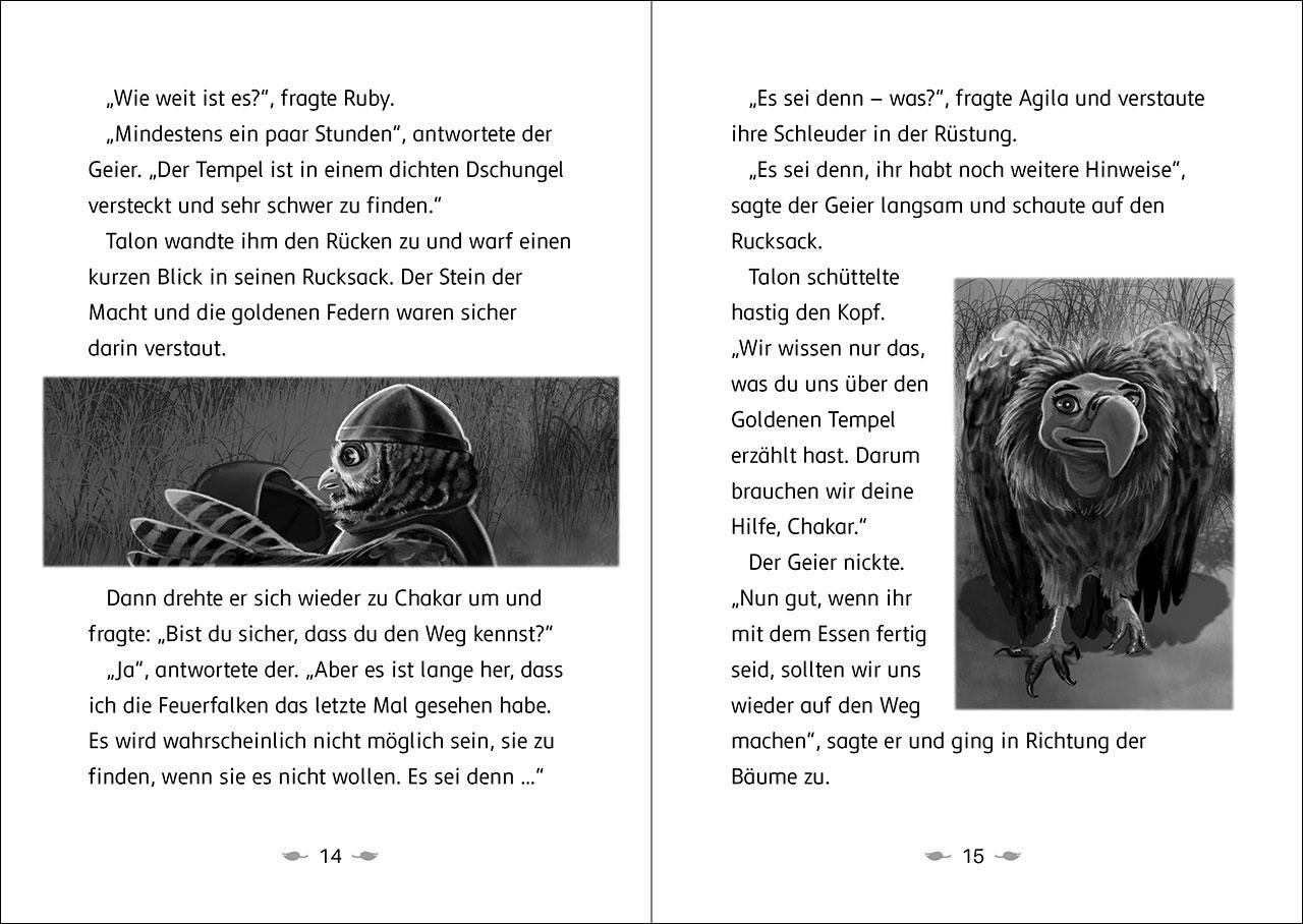 Bild: 9783743217577 | Der letzte Feuerfalke und der goldene Tempel (Band 9) | Charman | Buch