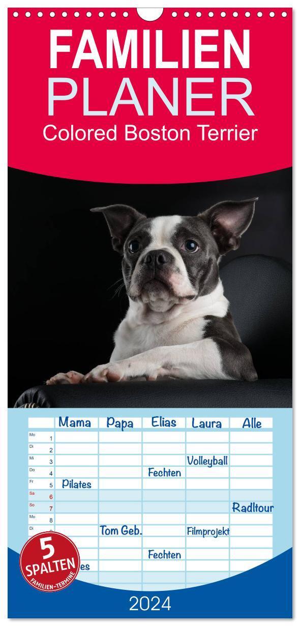 Cover: 9783675829091 | Familienplaner 2024 - Colored Boston Terrier 2024 mit 5 Spalten...