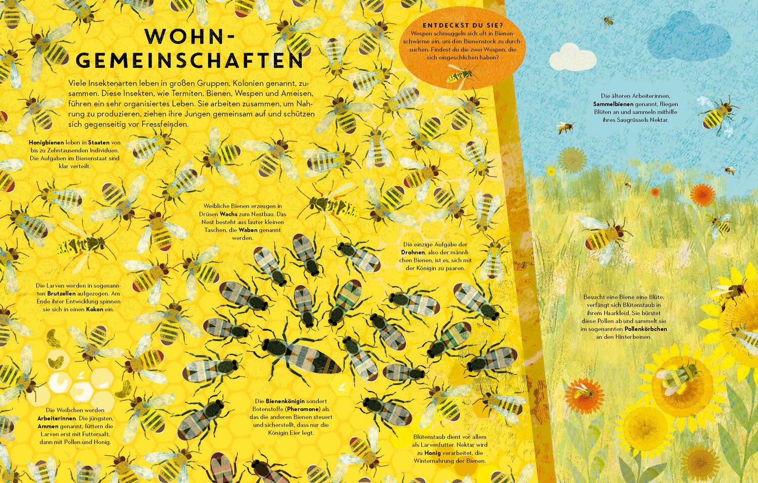 Bild: 9783791374390 | Sechs Beine oder mehr - Die Wunderwelt der Insekten | Buch | 48 S.