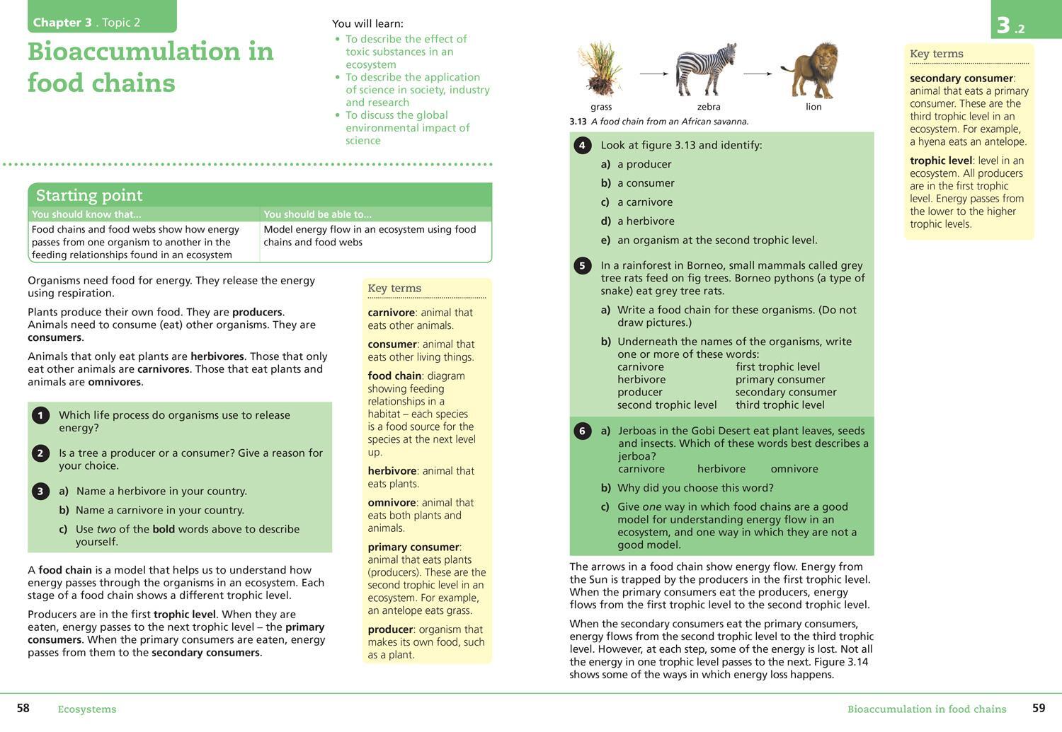 Bild: 9780008364267 | Lower Secondary Science Student's Book: Stage 8 | Taschenbuch | 2021