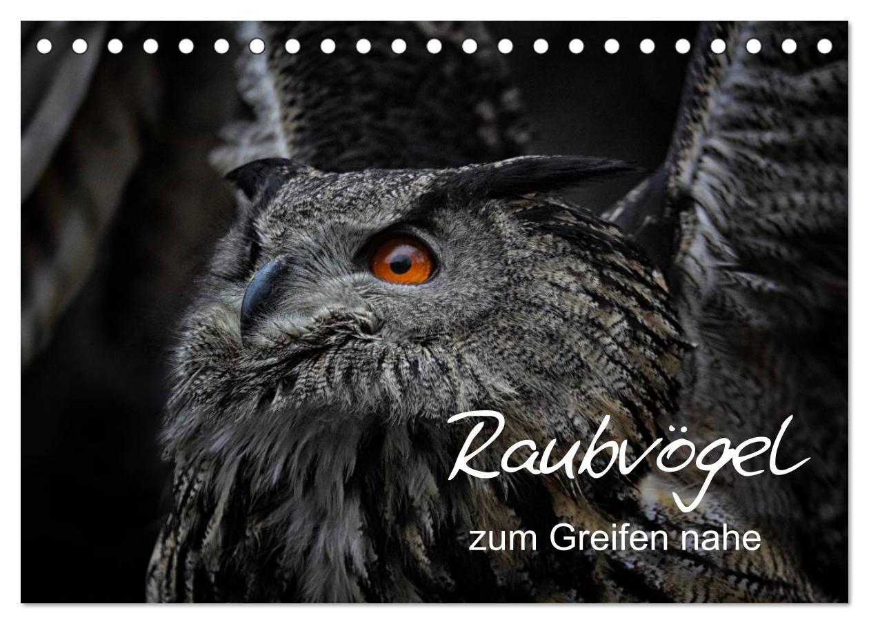 Cover: 9783435748020 | Raubvögel zum Greifen nahe (Tischkalender 2025 DIN A5 quer),...