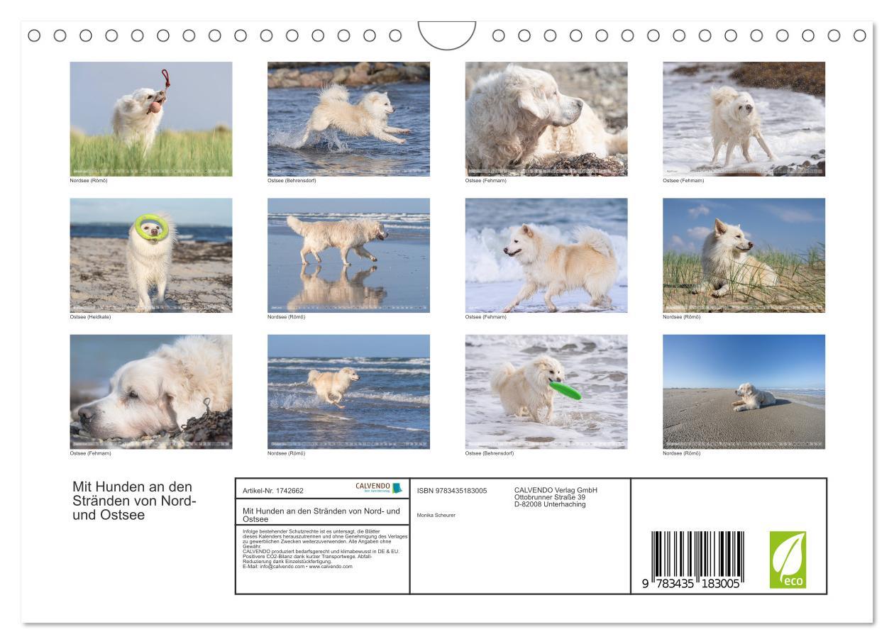 Bild: 9783435183005 | Mit Hunden an den Stränden von Nord- und Ostsee (Wandkalender 2025...