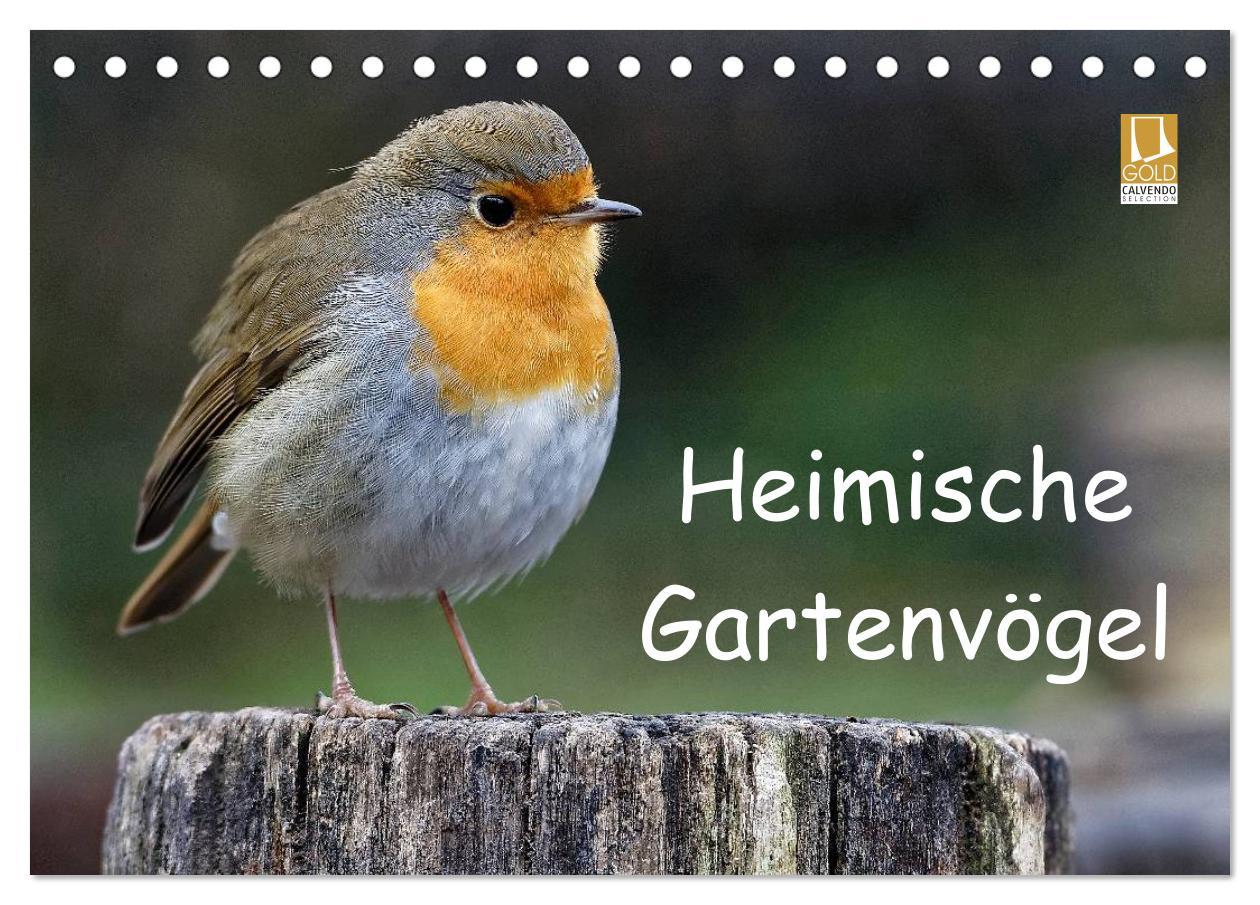 Cover: 9783435616183 | Heimische Gartenvögel (Tischkalender 2025 DIN A5 quer), CALVENDO...