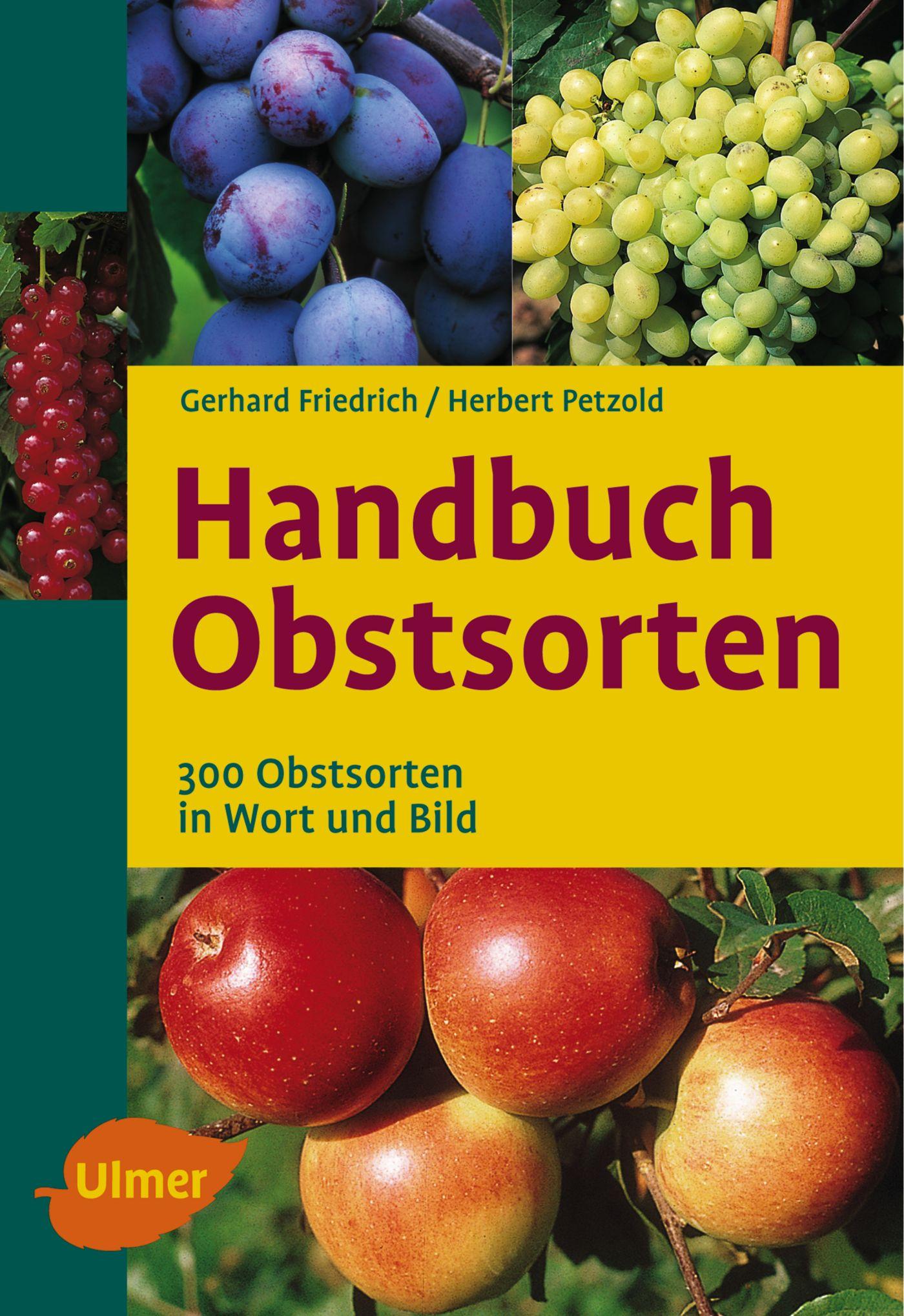 Cover: 9783800148530 | Handbuch Obstsorten | 300 Obstsorten in Wort und Bild | Buch | 624 S.