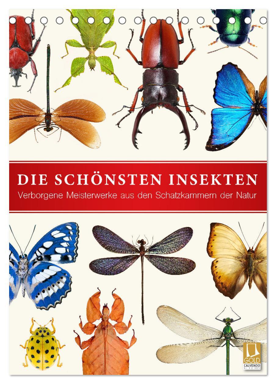 Cover: 9783435980390 | Die schönsten Insekten (Tischkalender 2025 DIN A5 hoch), CALVENDO...