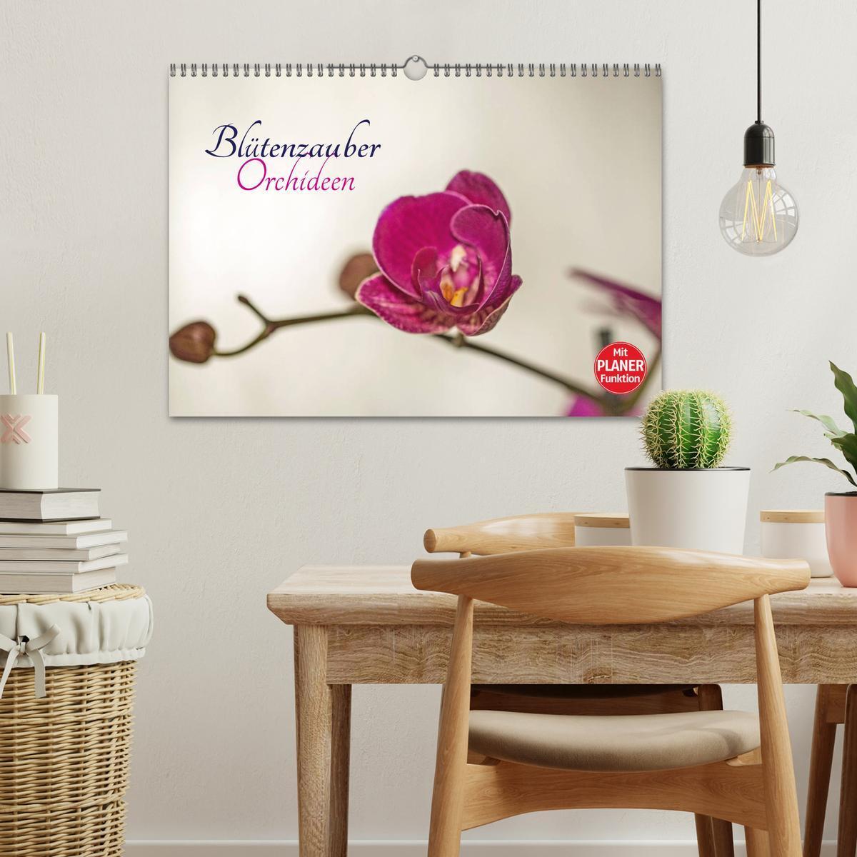 Bild: 9783435553303 | Blütenzauber Orchideen (Wandkalender 2025 DIN A3 quer), CALVENDO...