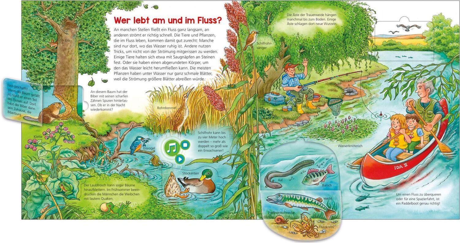Bild: 9783788676483 | BOOKii® WAS IST WAS Kindergarten Tiere und Pflanzen am Wasser | Buch