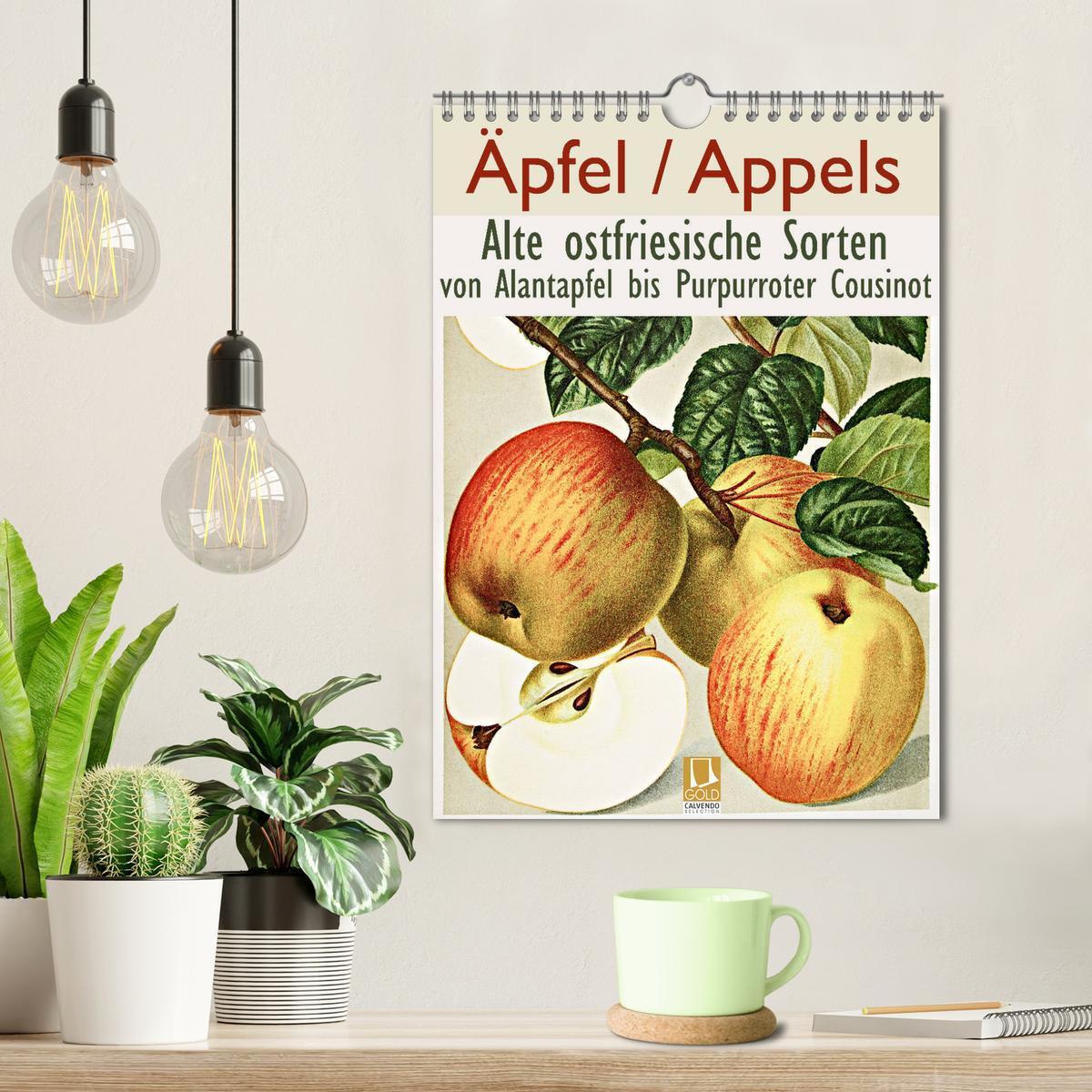 Bild: 9783435976546 | Äpfel/Appels. Alte ostfriesische Sorten (Wandkalender 2025 DIN A4...