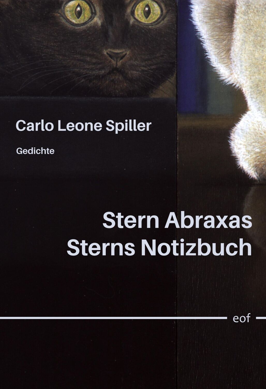 Cover: 9783758308086 | Stern Abraxas Sterns Notizbuch | Gedichte | Carlo Leone Spiller | Buch