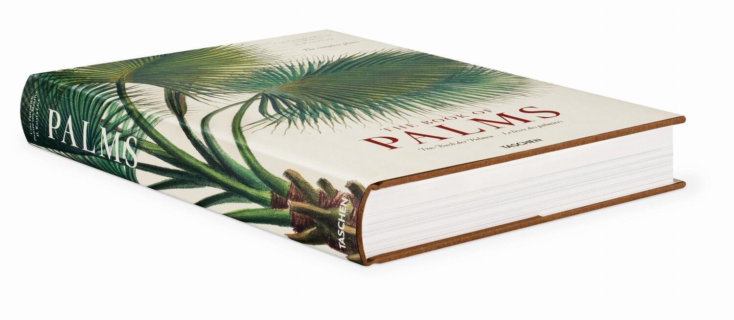 Bild: 9783836566148 | Martius. The Book of Palms | H. Walter Lack | Buch | GER, Hardcover