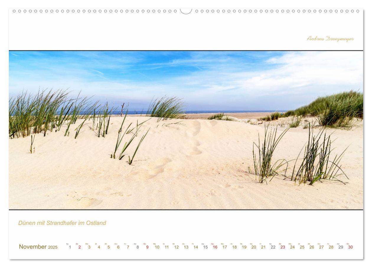 Bild: 9783435258536 | Borkum Inselpanorama (Wandkalender 2025 DIN A2 quer), CALVENDO...