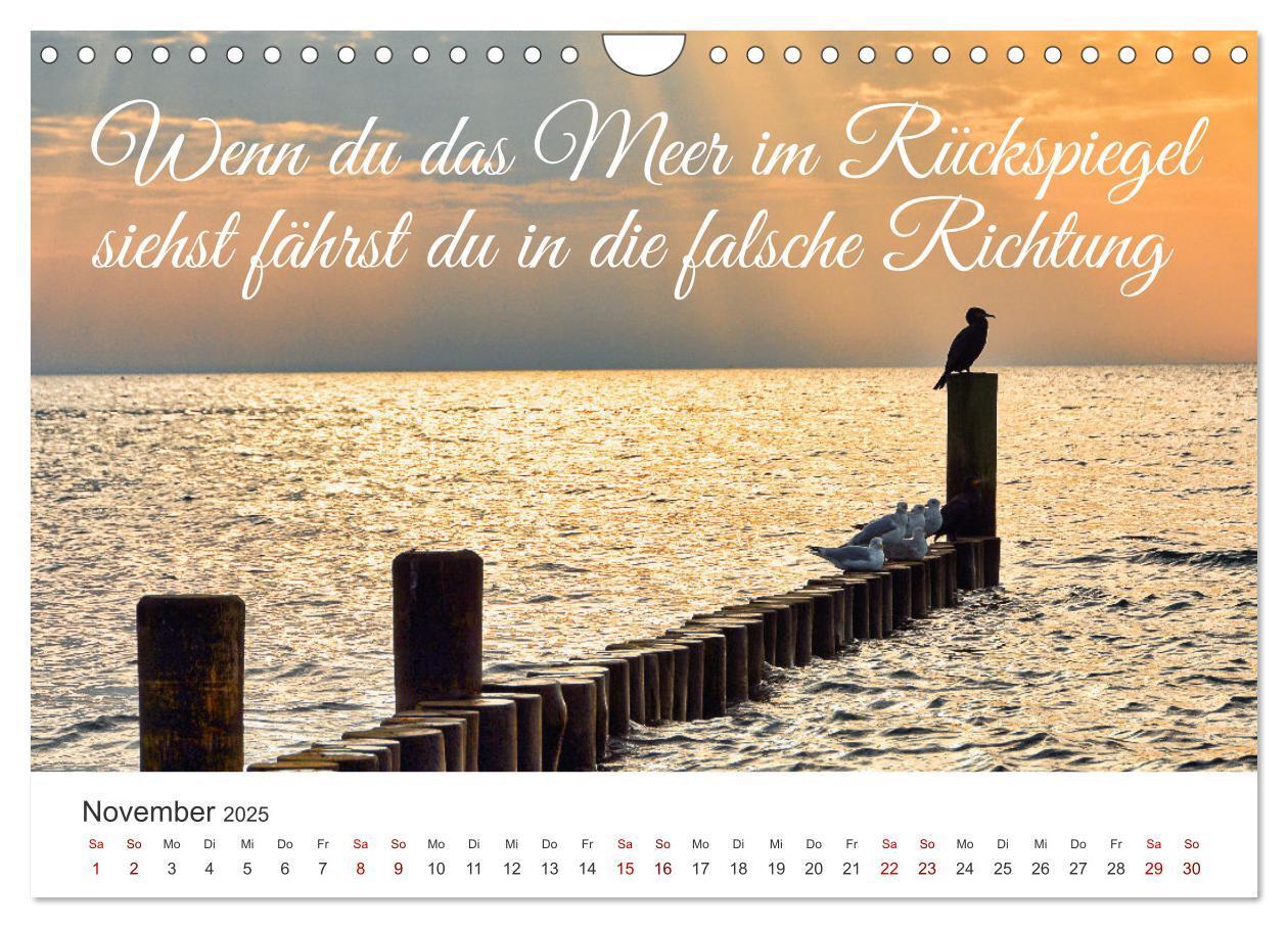 Bild: 9783383920684 | Lass uns ans Meer fahren (Wandkalender 2025 DIN A4 quer), CALVENDO...