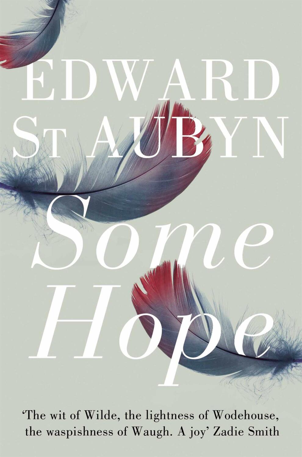 Cover: 9781447202967 | Some Hope | Edward St Aubyn | Taschenbuch | The Patrick Melrose Novels