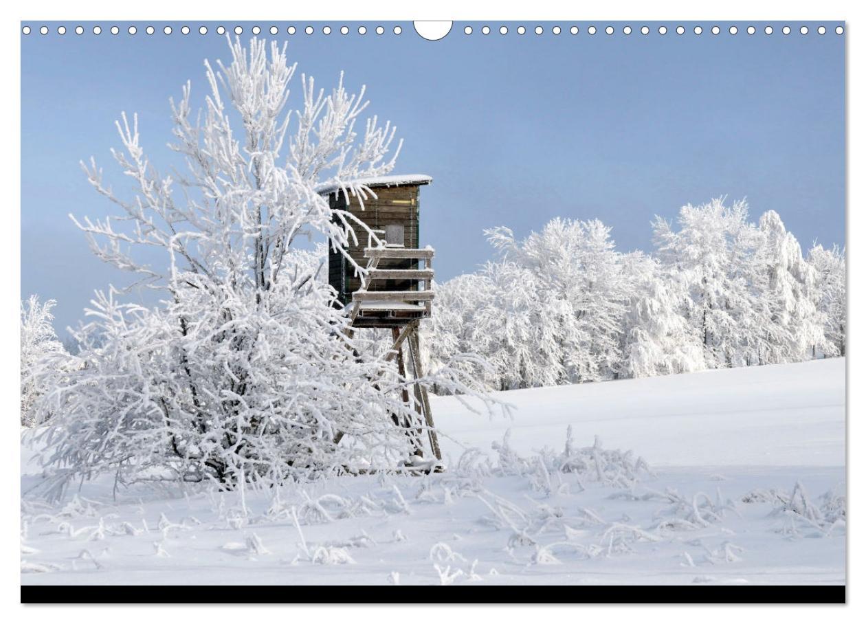 Bild: 9783383901874 | Wald macht glücklich (Wandkalender 2025 DIN A3 quer), CALVENDO...